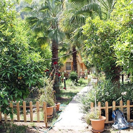 Hotel Oran Pansiyon Agac Evler Çıralı Zewnętrze zdjęcie