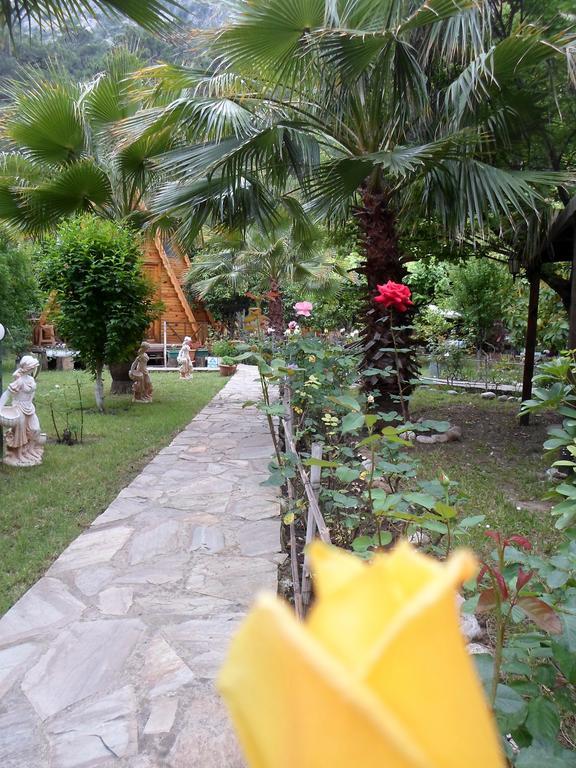 Hotel Oran Pansiyon Agac Evler Çıralı Zewnętrze zdjęcie