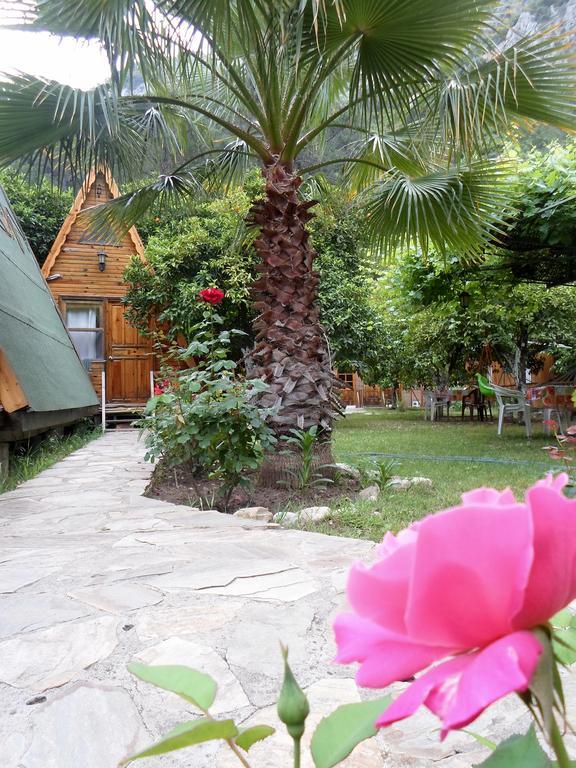 Hotel Oran Pansiyon Agac Evler Çıralı Zewnętrze zdjęcie