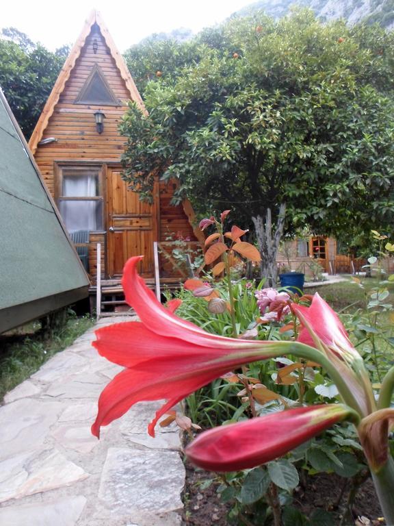 Hotel Oran Pansiyon Agac Evler Çıralı Zewnętrze zdjęcie