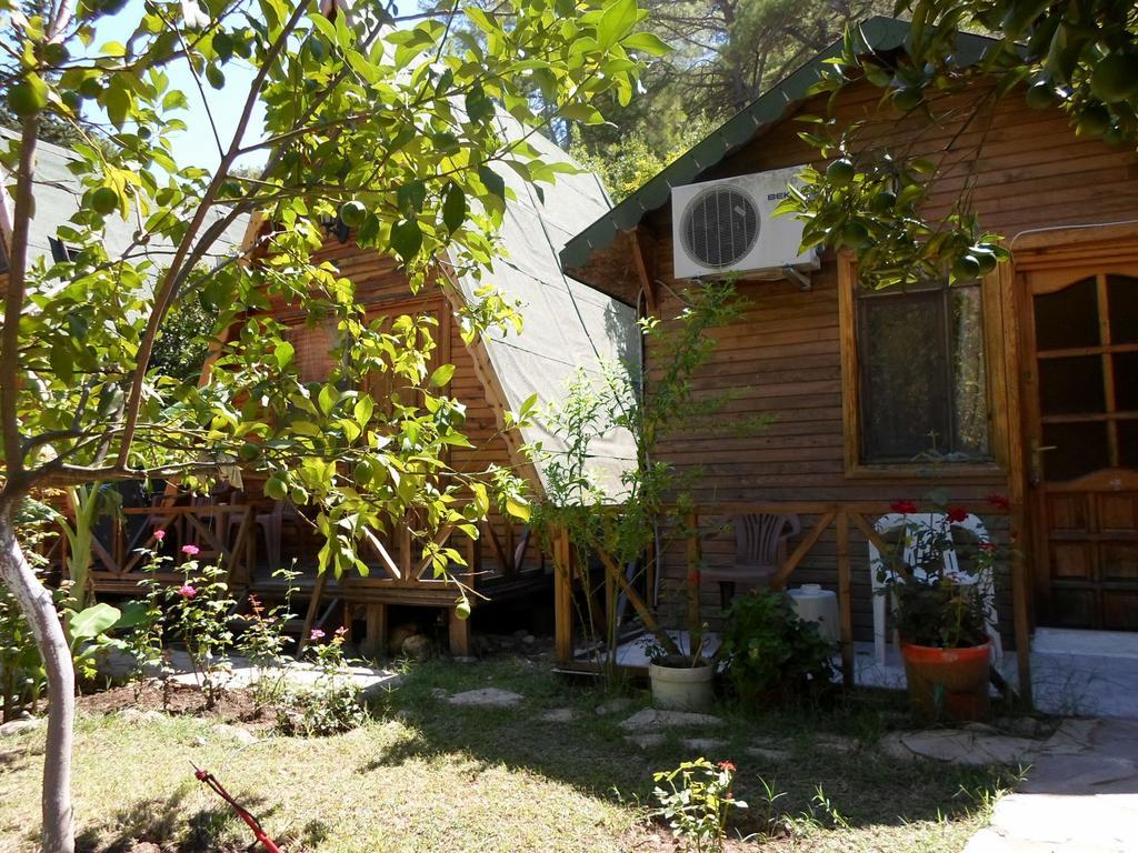 Hotel Oran Pansiyon Agac Evler Çıralı Zewnętrze zdjęcie