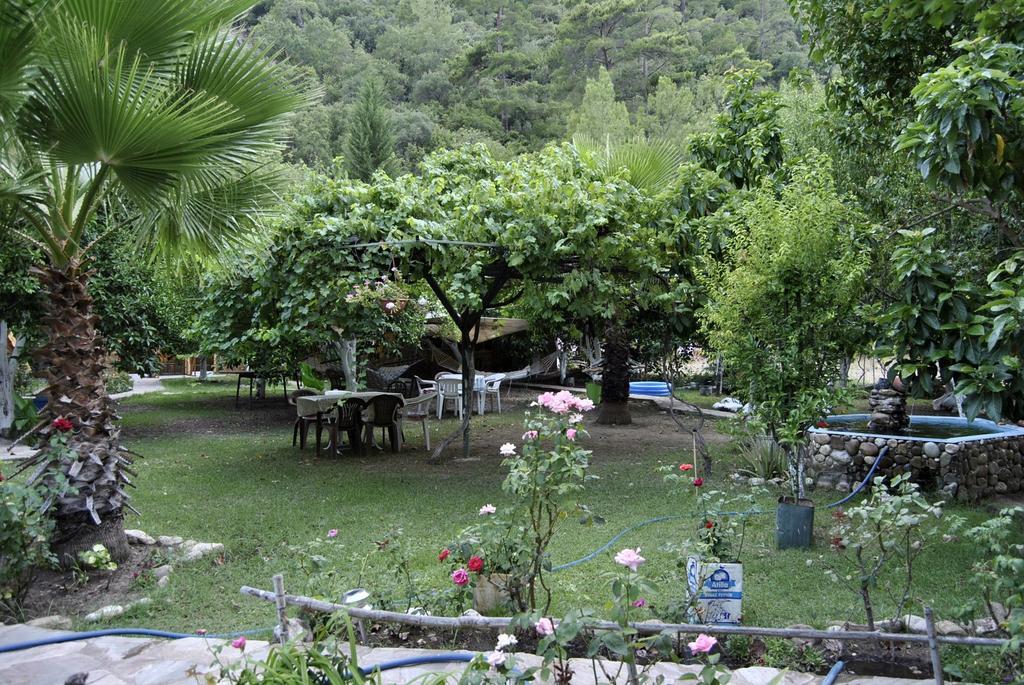 Hotel Oran Pansiyon Agac Evler Çıralı Zewnętrze zdjęcie